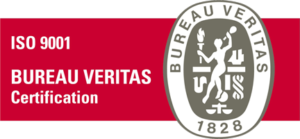 Logo Footer